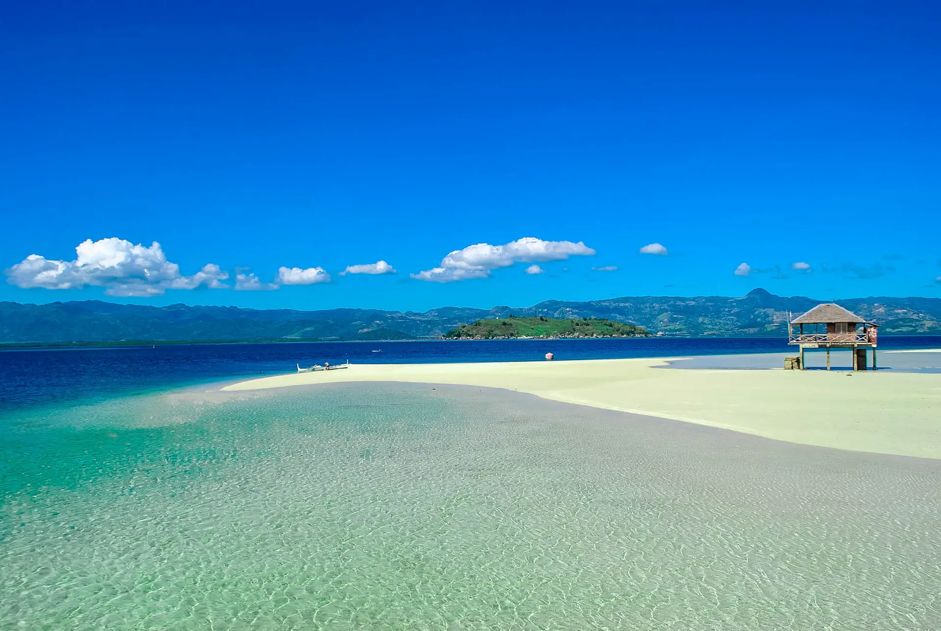 Manjuyod Sandbar and Dolphin Watching